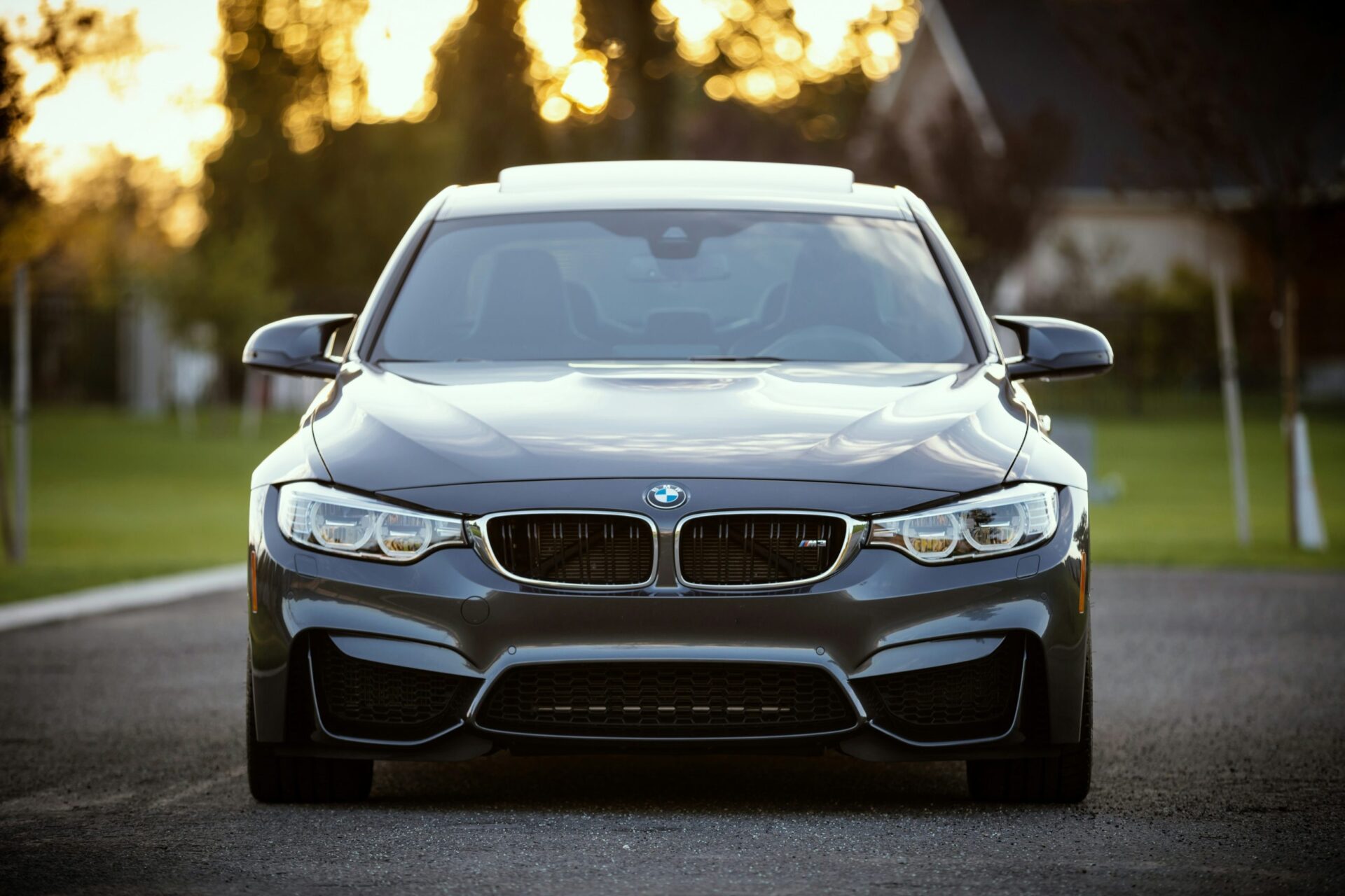 Speedefx Auto Protection