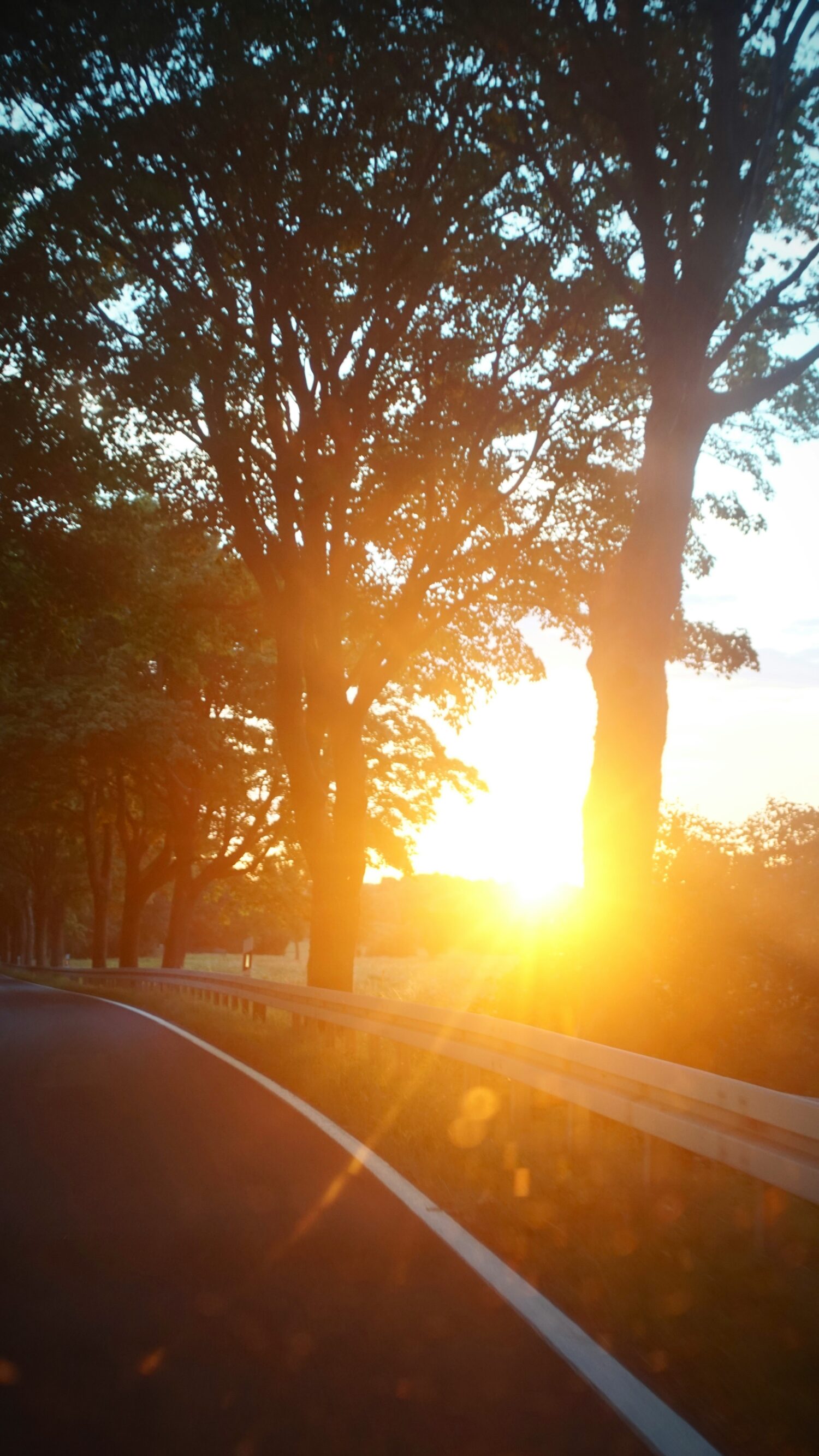 Driving into sunrise or sunset daily causes eye fatigue and safety risks. Ceramic tint blocks 99% UV rays and reduces dangerous glare by 60%.